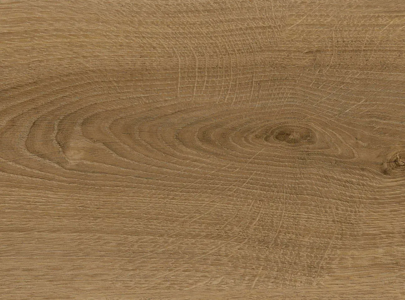 Haro Disano ClassicAqua Landhausdiele XL 4V Eiche Sheffield natur Top Connect 549015